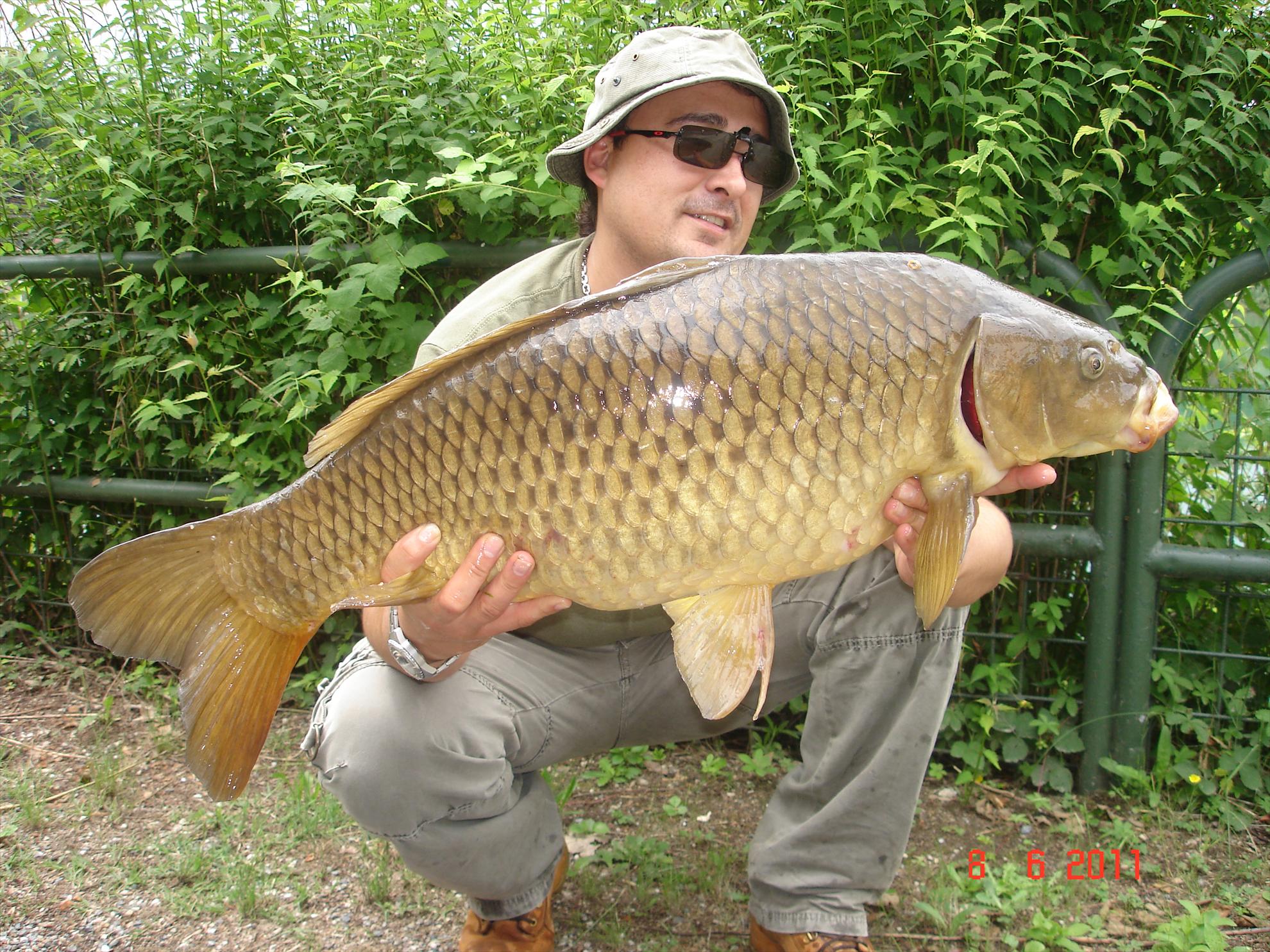 THE BIGS OF 2011 - p1000105.JPG